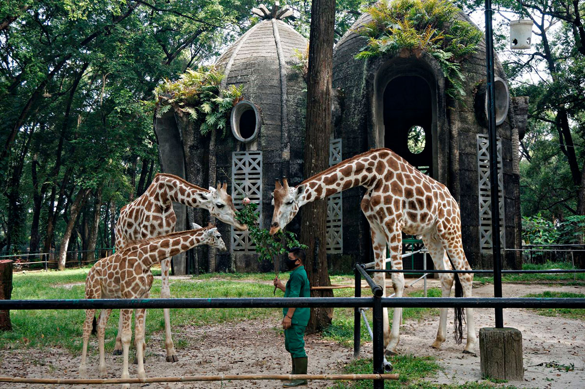 Satwa di Kebun Binatang Ragunan Jakarta